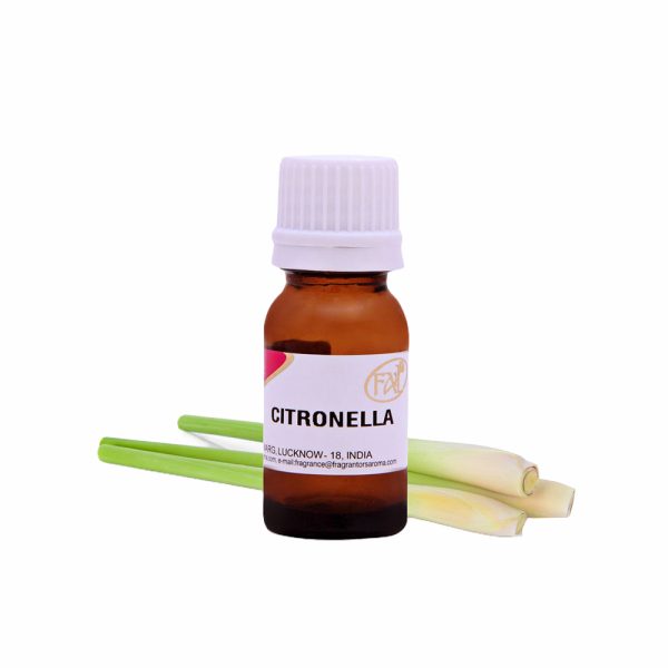 citronella