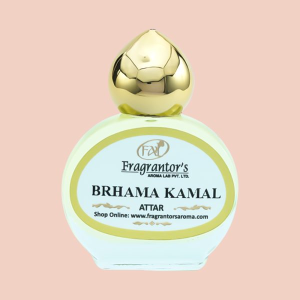 brahama-kamal